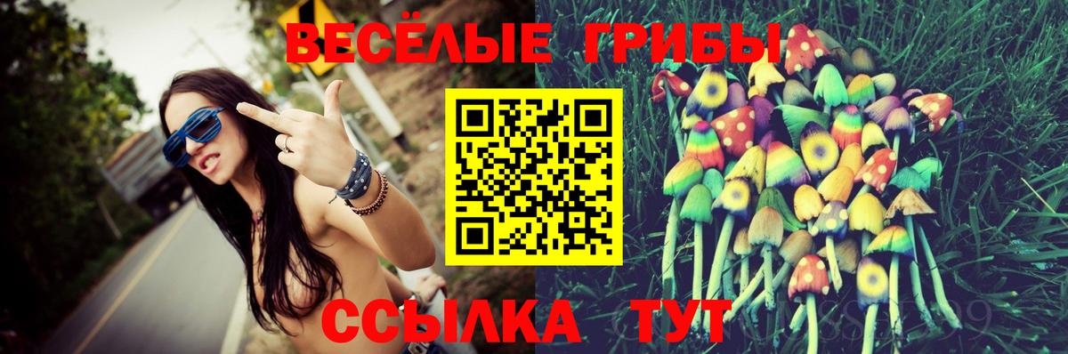 Псилоцибиновые грибы GOLDEN TEACHER  Вход с VPN  Камень-на-Оби 