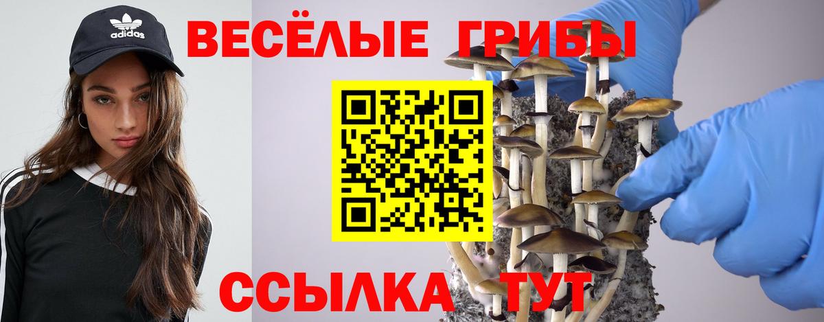 Псилоцибиновые грибы мухоморы Камень-на-Оби